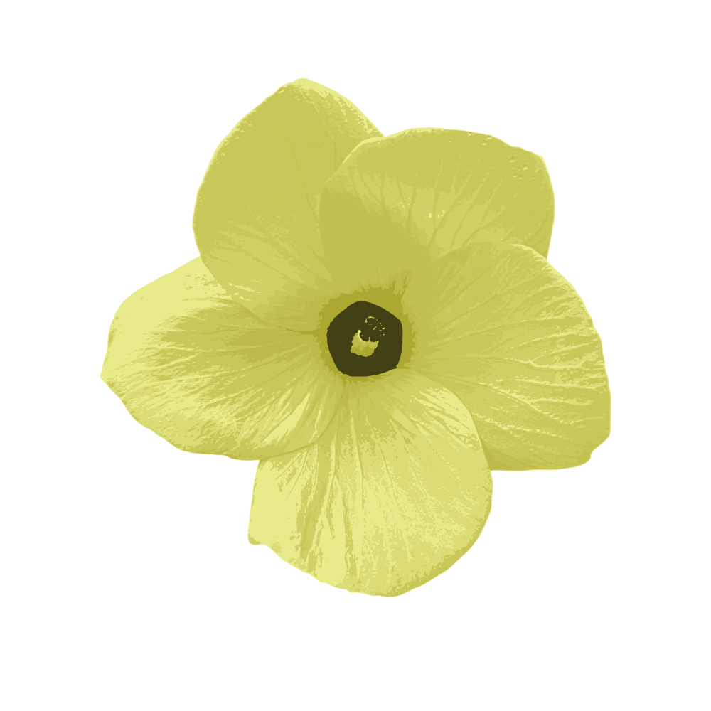 Musc El Gharam - 50ml