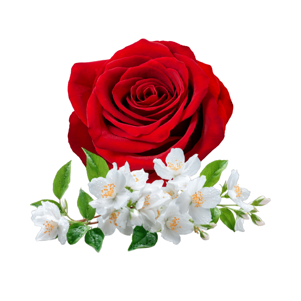 Musc Ameeret El Arab - 50ml